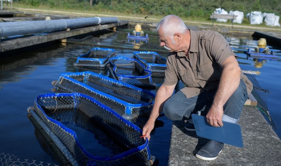 The future? Let´s say present now for aquaculture feed